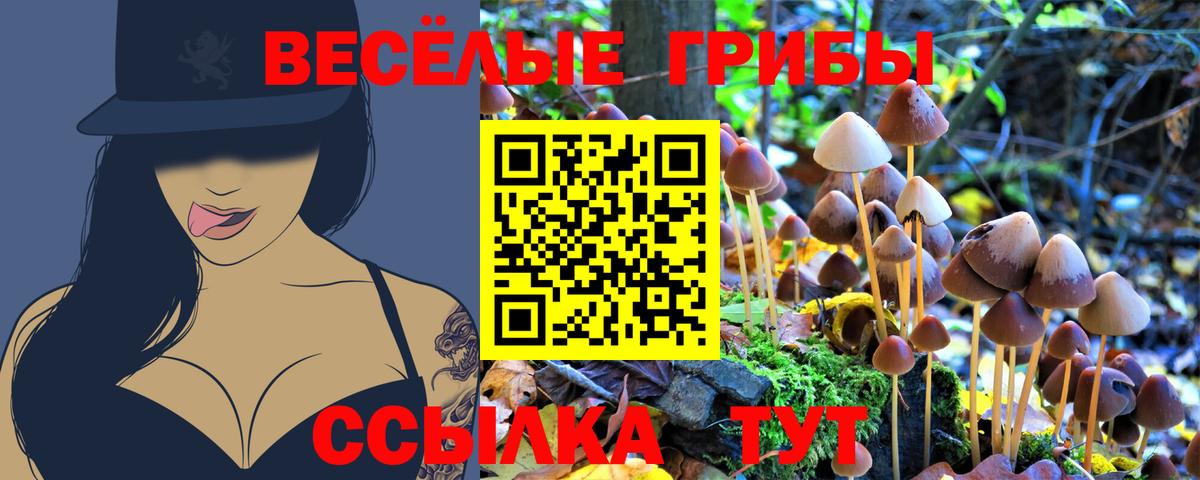 Торжок  Галлюциногенные грибы MAGIC MUSHROOMS  Вход с VPN 